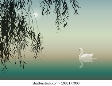  background with white swan and willow branches, vector illustration