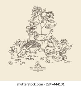 Background with wikstroemia indica: leaves, flowers and wikstroemia indica plant. Daphne indica. Oil, soap and bath salt . Cosmetics and medical plant. Vector hand drawn illustration