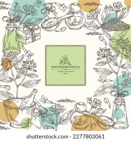 Background with wikstroemia indica: leaves, flowers and wikstroemia indica plant. Daphne indica. Oil, soap and bath salt . Cosmetics and medical plant. Vector hand drawn illustration