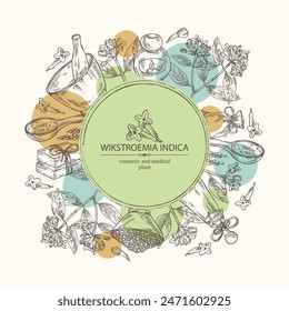 Background with wikstroemia indica: leaves, flowers and wikstroemia indica plant. Daphne indica. Oil, soap and bath salt . Cosmetics and medical plant. Vector hand drawn illustration