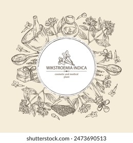 Background with wikstroemia indica: leaves, flowers and wikstroemia indica plant. Daphne indica. Oil, soap and bath salt . Cosmetics and medical plant. Vector hand drawn illustration