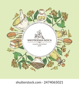 Background with wikstroemia indica: leaves, flowers and wikstroemia indica plant. Daphne indica. Oil, soap and bath salt . Cosmetics and medical plant. Vector hand drawn illustration