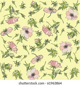 Background. Wild  rose. eps10