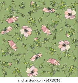 Background. Wild  rose.eps10