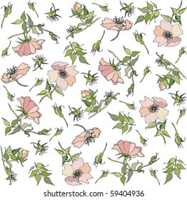 Background. Wild  roses.   eps10