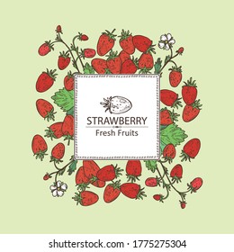 Antecedentes con fresas silvestres. Ilustración dibujada a mano por el vector
