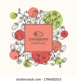Background with wild strawberries. Vector hand drawn illustration