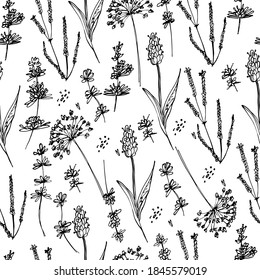 Background with wildflowers, lavender. Dried flowers, medicinal plants, canola, lavender. Beautiful little flowers. For wallpaper, banner, coloring, design paper, packaging. Isolate, stock art