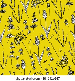 Background with wildflowers, lavender. Dried flowers, medicinal plants, canola, lavender. Beautiful little flowers. For wallpaper, banner, coloring, design paper, packaging. Isolate, stock art
