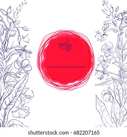 Background with willow-herb: leaves and flowers. Cosmetics and medical plant. Hand drawn vintage ink sketch vector botanical illustration.