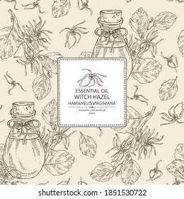 Background With Witch Hazel Flowering Branch, Leaves, Hamamelis Virginiana Flowers And Bottle Of Hamamelis Virginiana Essential Oil. Cosmetic, Perfumery And Medical Plant. Vector Hand Drawn