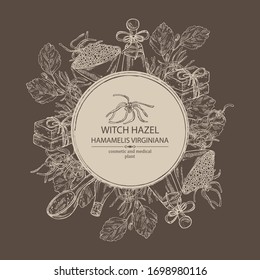 Background with witch hazel:hamamelis virginiana flowers, soap and bath salt . Cosmetic and medical plant. Vector hand drawn illustration.