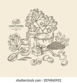 Background withhawthorn: hawthorn branch, flowers, berries and bath salt, soap and beauty products. Crataegus berries. Cosmetic, perfumery and medical plant. Vector