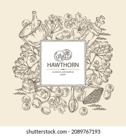 Background withhawthorn: hawthorn branch, flowers, berries and bath salt, soap and beauty products. Crataegus berries. Cosmetic, perfumery and medical plant. Vector