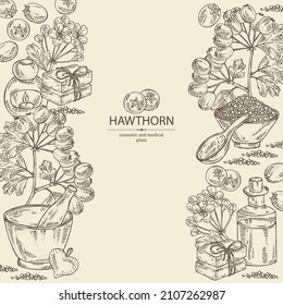 Background withhawthorn: hawthorn branch, flowers, berries and bath salt, soap and beauty products. Crataegus berries. Cosmetic, perfumery and medical plant. Vector