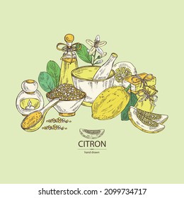 Background witht citron: fruts, citron flower, leaves, zedrate slice, bath salt, soap and beauty products.  Cosmetic, perfumery and medical plant. Vector hand drawn