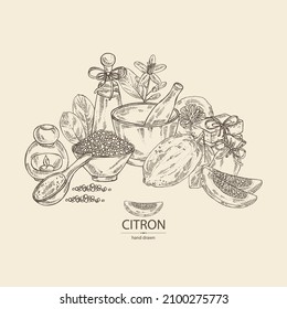 Background witht citron: fruts, citron flower, leaves, zedrate slice, bath salt, soap and beauty products.  Cosmetic, perfumery and medical plant. Vector hand drawn