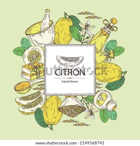 Background witht citron: fruts, citron flower, leaves, zedrate slice, bath salt, soap and beauty products.  Cosmetic, perfumery and medical plant. Vector hand drawn