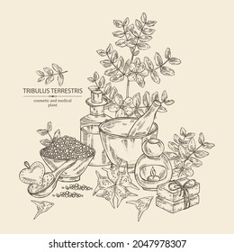 Hintergrund mit tribulösen terrestrischen Elementen: Blumen von tribulus terrestris, zweig, Blätter und Badesalz, Seife und Kosmetikprodukte.  Kosmetik, Parfüm und medizinische Anlagen. Vektor handgezeichnet