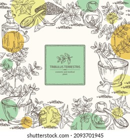 Background witht tribulus terrestris: flowers of tribulus terrestris, branch, leaves, and bath salt, soap and beauty products.  Cosmetic, perfumery and medical plant. Vector hand drawn