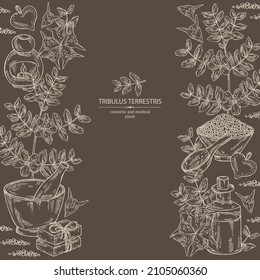 Background witht tribulus terrestris: flowers of tribulus terrestris, branch, leaves, and bath salt, soap and beauty products.  Cosmetic, perfumery and medical plant. Vector hand drawn