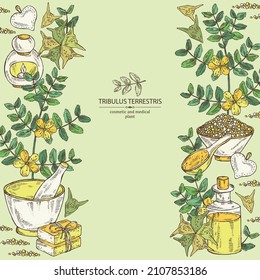 Background witht tribulus terrestris: flowers of tribulus terrestris, branch, leaves, and bath salt, soap and beauty products.  Cosmetic, perfumery and medical plant. Vector hand drawn