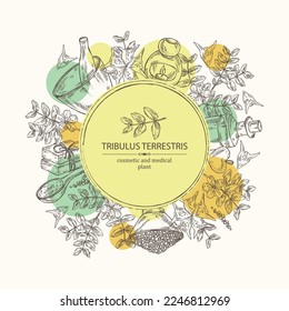 Background witht tribulus terrestris: flowers of tribulus terrestris, branch, leaves, and bath salt, soap and beauty products.  Cosmetic, perfumery and medical plant. Vector hand drawn