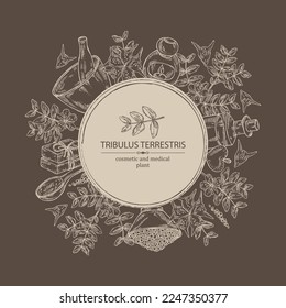 Hintergrund mit tribulösen terrestrischen Elementen: Blumen von tribulus terrestris, zweig, Blätter und Badesalz, Seife und Kosmetikprodukte.  Kosmetik, Parfüm und medizinische Anlagen. Vektor handgezeichnet