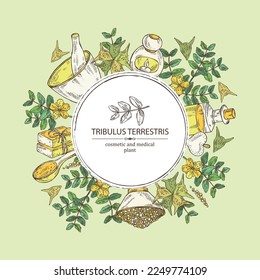 Background witht tribulus terrestris: flowers of tribulus terrestris, branch, leaves, and bath salt, soap and beauty products.  Cosmetic, perfumery and medical plant. Vector hand drawn