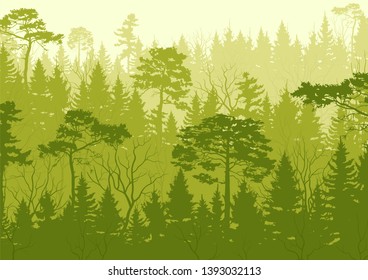 Background with wood  landscape. Summer forest. Tourism and travelling. Vector flat design