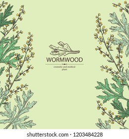 Background with wormwood: wormwood branch, wormwood flowers and leaves . Cosmetics and medical plant. Vector hand drawn illustration.