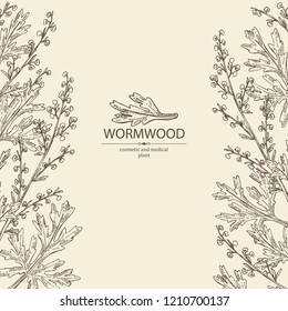 Background with wormwood: wormwood branch, wormwood flowers and leaves . Cosmetics and medical plant. Vector hand drawn illustration.