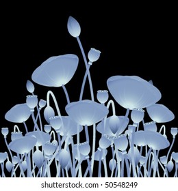Background with x-ray poppy flowers for your design