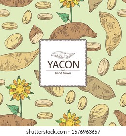 Background with yacon: full yacon and piece of yacon. Vector hand drawn illustration