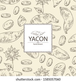 Background with yacon: full yacon and piece of yacon. Vector hand drawn illustration