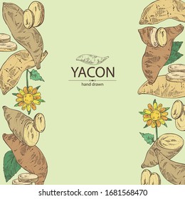 Background with yacon: full yacon and piece of yacon. Vector hand drawn illustration