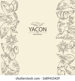 Background with yacon: full yacon and piece of yacon. Vector hand drawn illustration