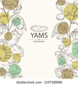Background with yams: tuber of yams, leaves and slice. Vector hand drawn illustration.