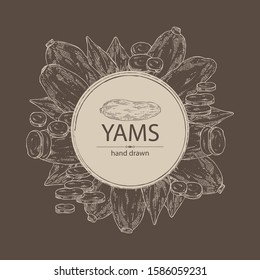 Background with yams: tuber of yams, leaves and slice. Vector hand drawn illustration.