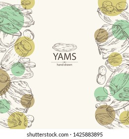 Background with yams: tuber of yams, slice , bag and plate with flour . Vector hand drawn illustration.