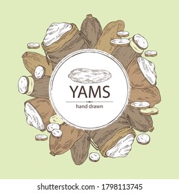Background with yams: tuber of yams, slice , bag and plate with flour . Vector hand drawn illustration.