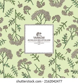 Background with yarrow: yarrow leaves and yarrow flowers. Achillea millefolium. Cosmetics and medical plant. Vector hand drawn illustration.