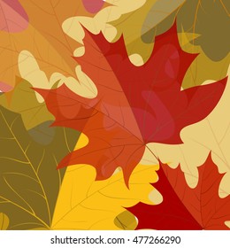 Background of yellow autumn maple leaves