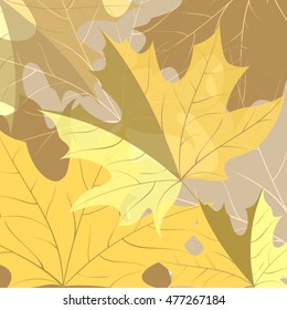 Background of yellow autumn maple leaves