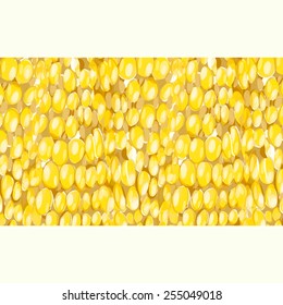 background with yellow corn