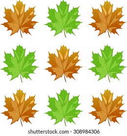 background from yellow and green maple leaves