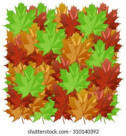 background of yellow, green and red maple leaves