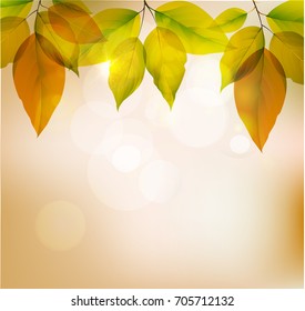 Background of yellow leaves,autumn season. Vector illustration.EPS10