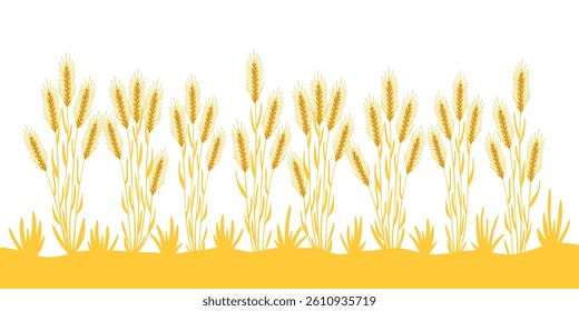 Background of yellow rye ears. Nature rye banner. Template of ripe rye isolated on white. Vector flat illustration.