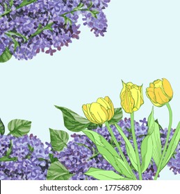 Background with yellow tulips and lilac.Vector illustration